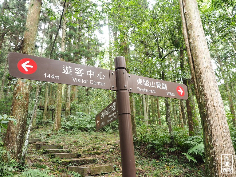 東眼山國家森林遊樂區