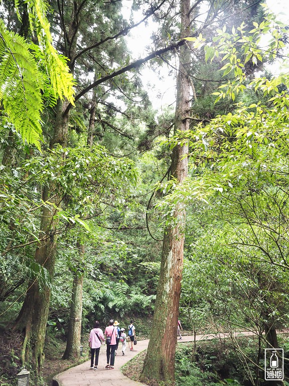 東眼山國家森林遊樂區