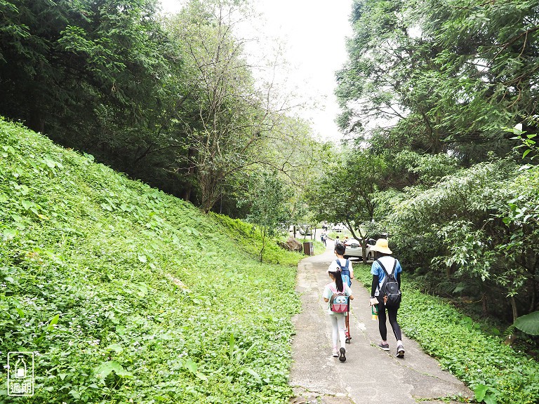 東眼山國家森林遊樂區