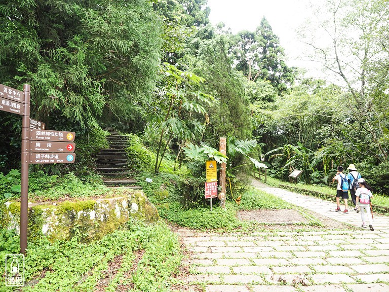 東眼山國家森林遊樂區