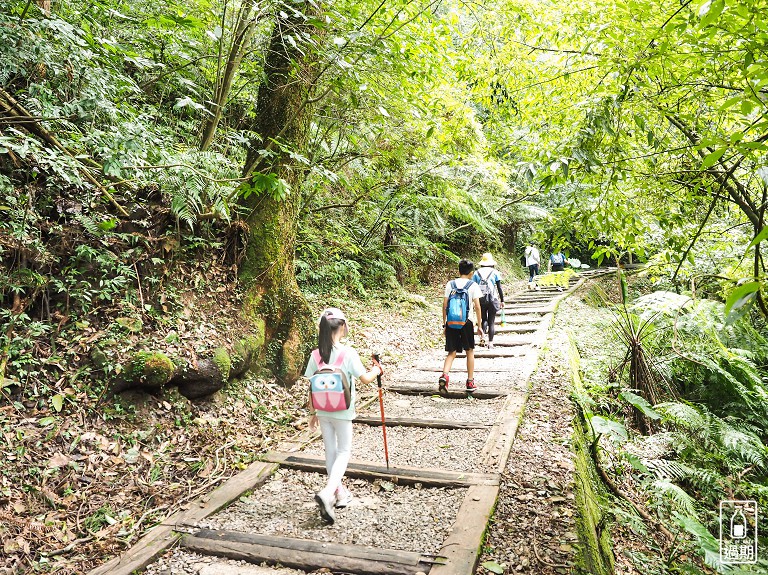 東眼山國家森林遊樂區