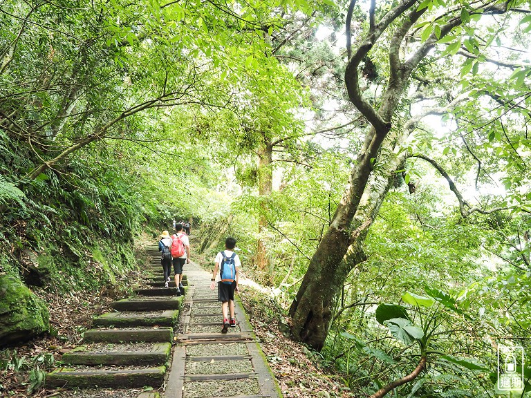 東眼山國家森林遊樂區