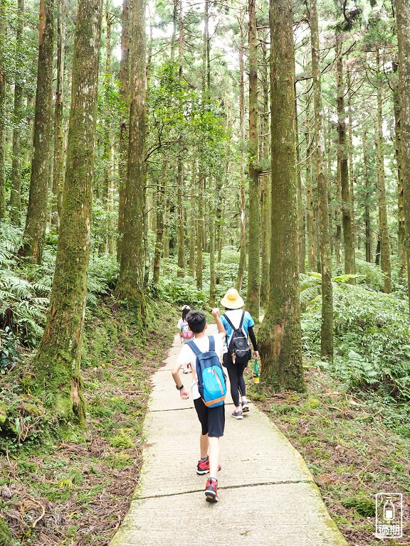 東眼山國家森林遊樂區