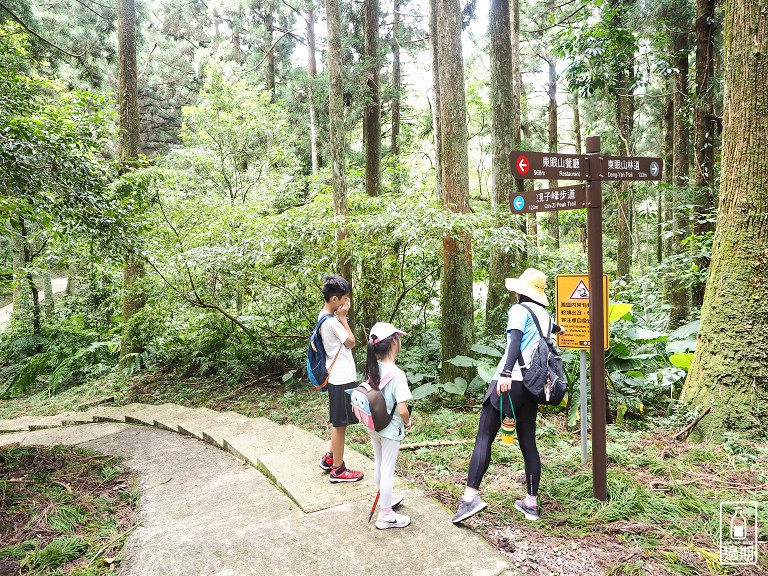 東眼山國家森林遊樂區