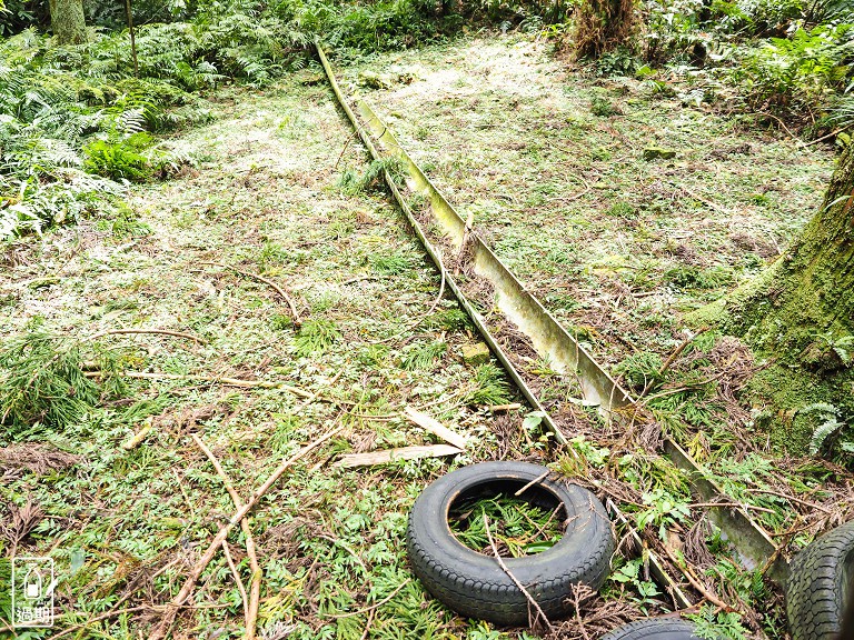 東眼山國家森林遊樂區