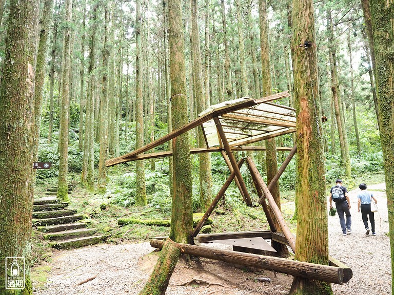 東眼山國家森林遊樂區