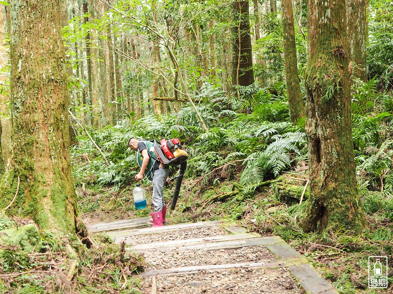 東眼山國家森林遊樂區