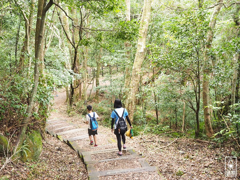 東眼山國家森林遊樂區