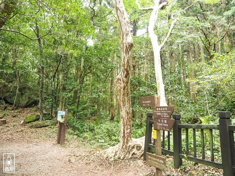 東眼山國家森林遊樂區