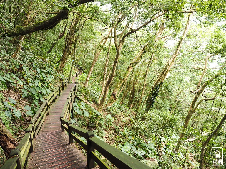 東眼山國家森林遊樂區