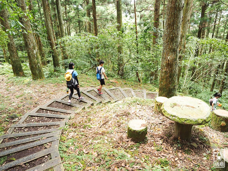 東眼山國家森林遊樂區