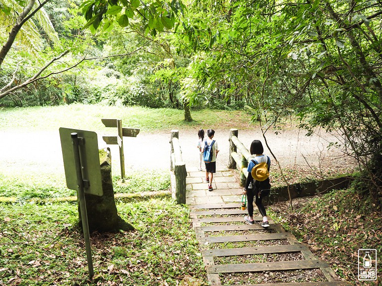 東眼山國家森林遊樂區