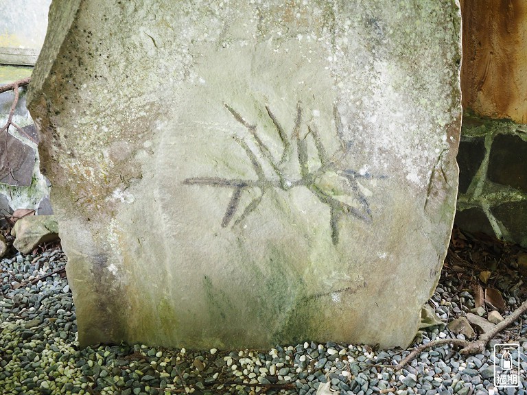 東眼山國家森林遊樂區