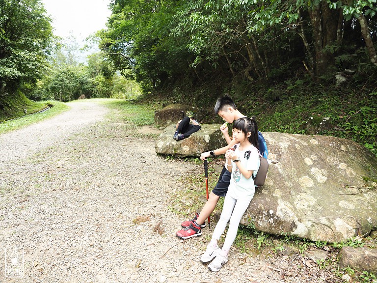 東眼山國家森林遊樂區