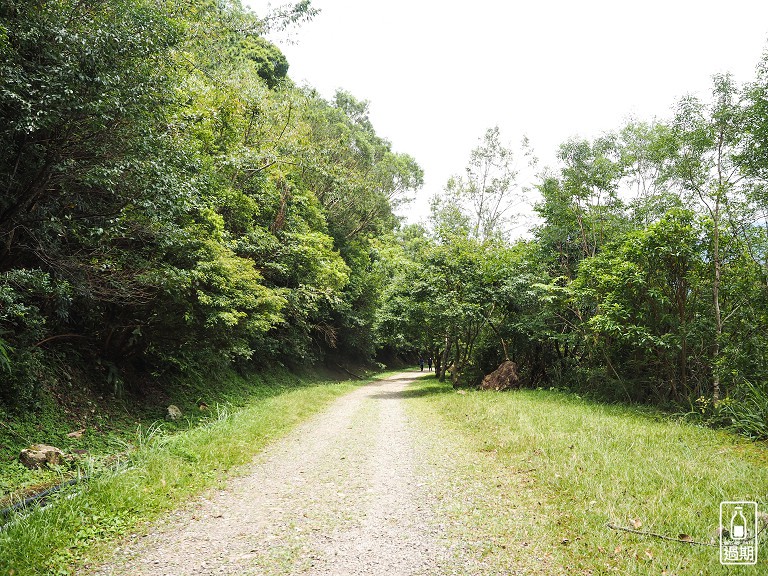 東眼山國家森林遊樂區