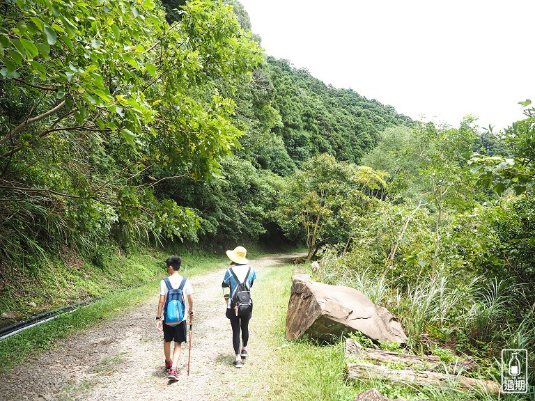 東眼山國家森林遊樂區