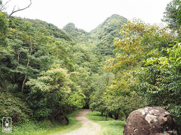 東眼山國家森林遊樂區