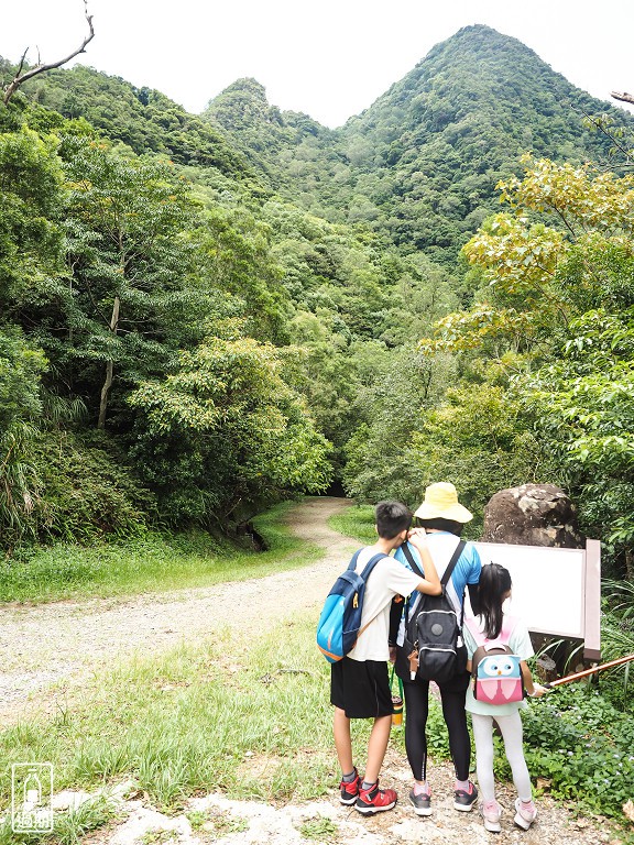 東眼山國家森林遊樂區