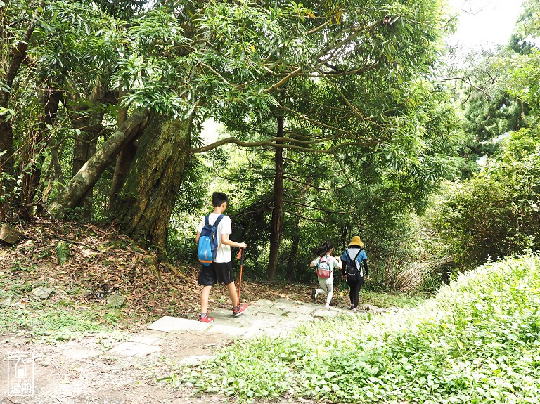 東眼山國家森林遊樂區