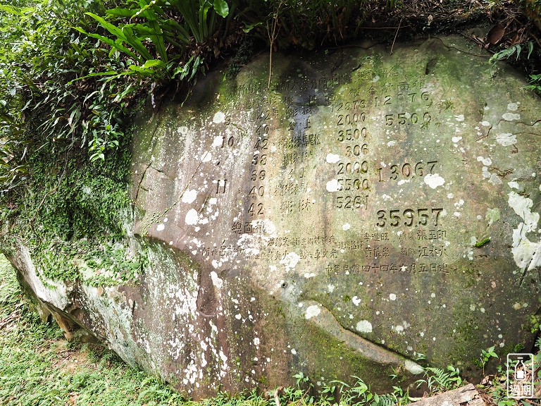 東眼山國家森林遊樂區