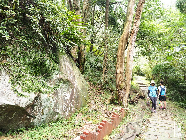 東眼山國家森林遊樂區