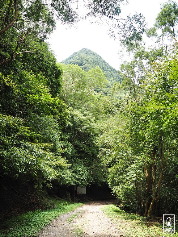 東眼山國家森林遊樂區