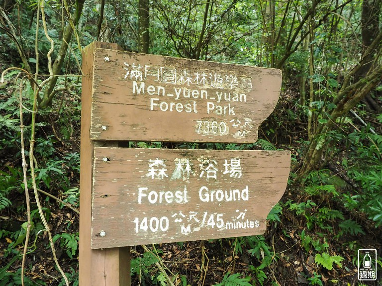 東眼山國家森林遊樂區