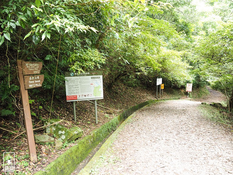 東眼山國家森林遊樂區