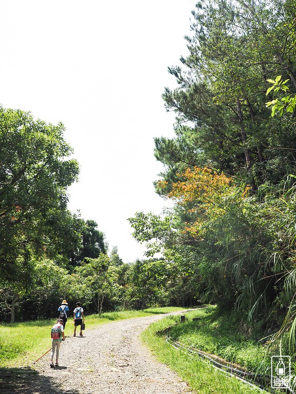 東眼山國家森林遊樂區