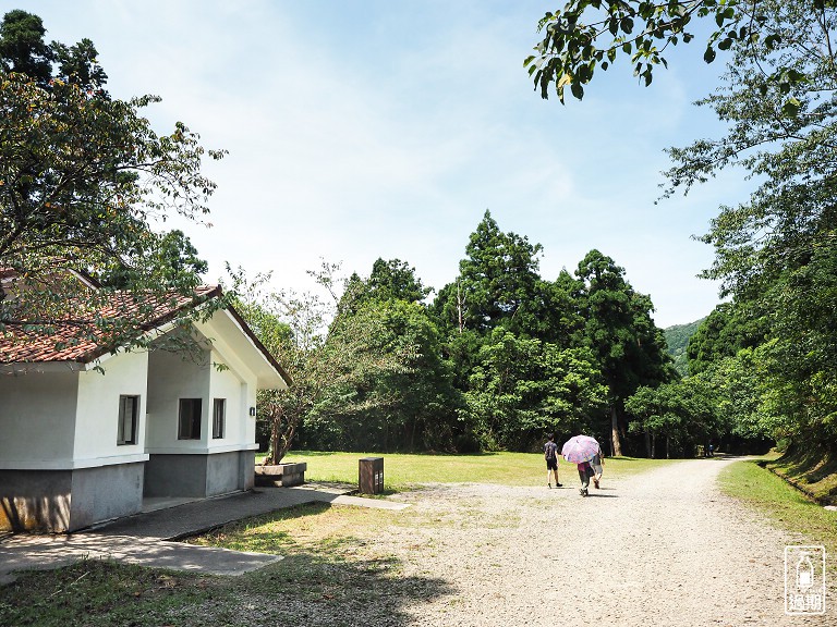 東眼山國家森林遊樂區