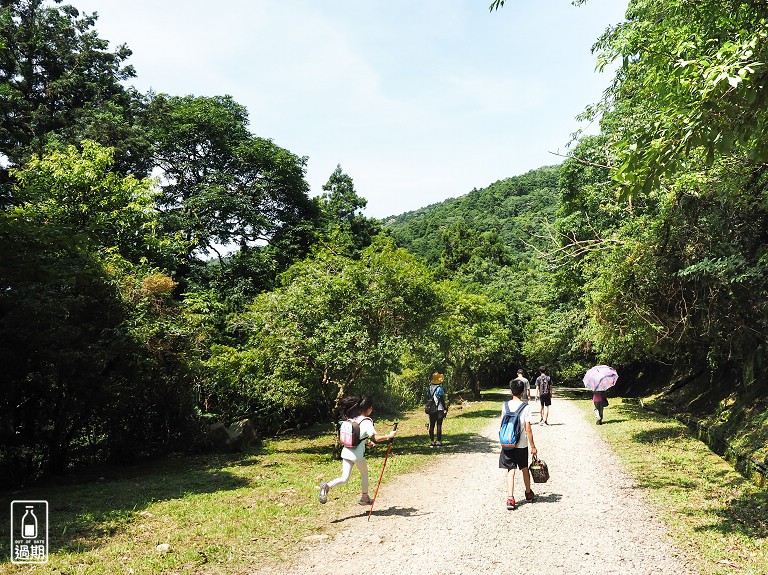 東眼山國家森林遊樂區