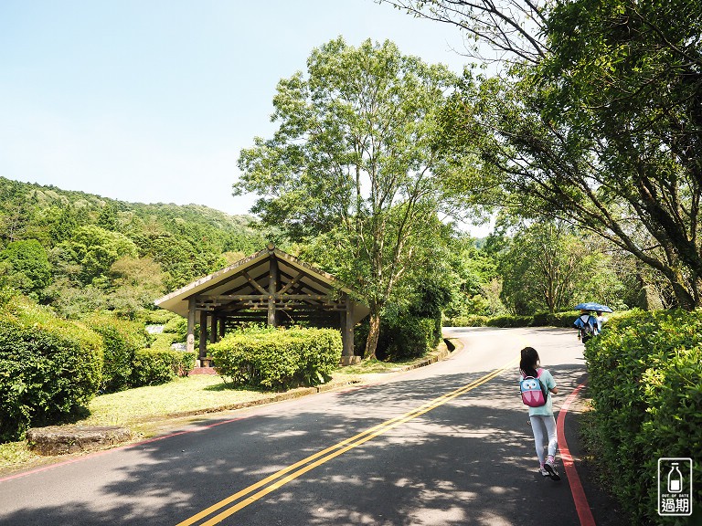 東眼山國家森林遊樂區