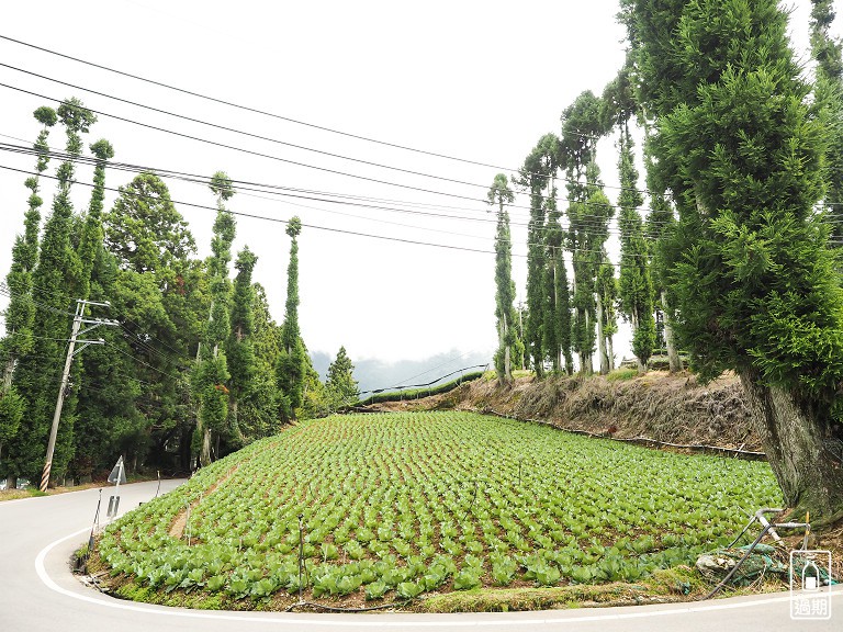 福壽山農場露營區