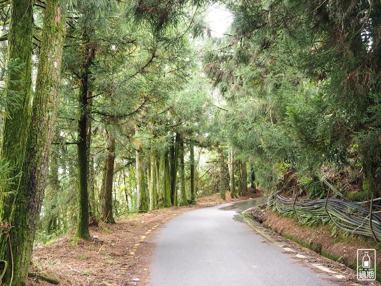 福壽山農場露營區