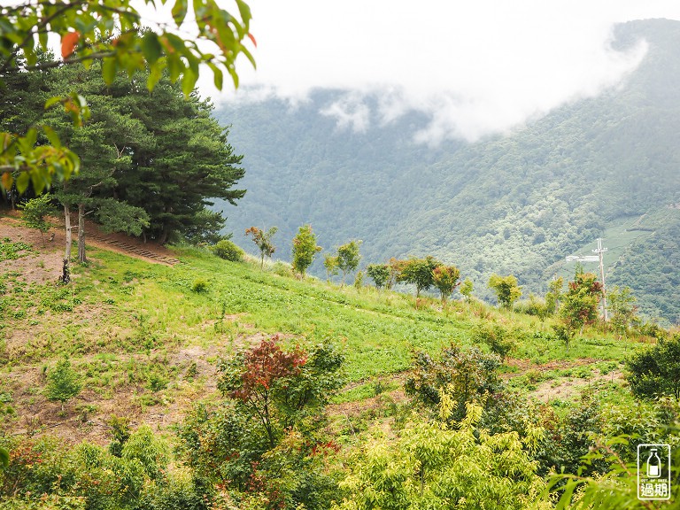 福壽山農場