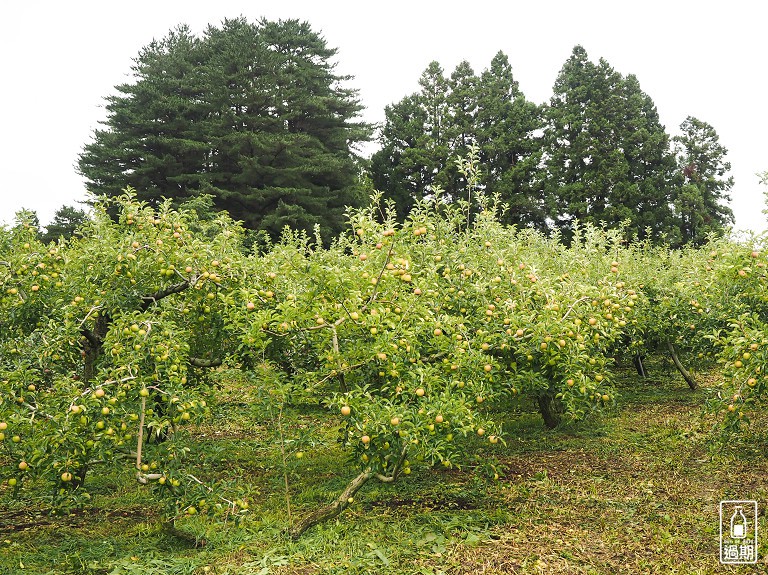 福壽山農場