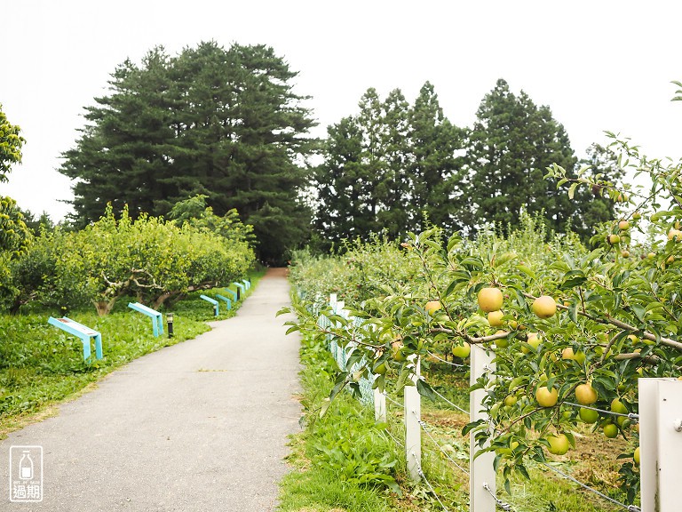 福壽山農場