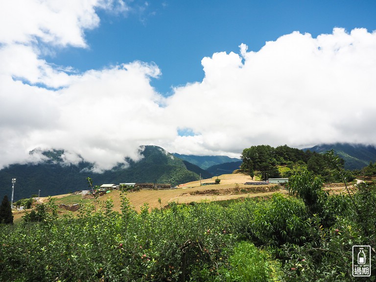 福壽山農場