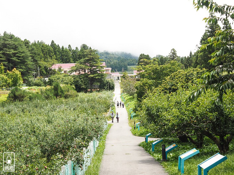 福壽山農場