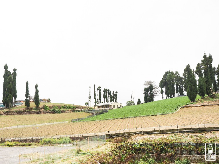 福壽山農場