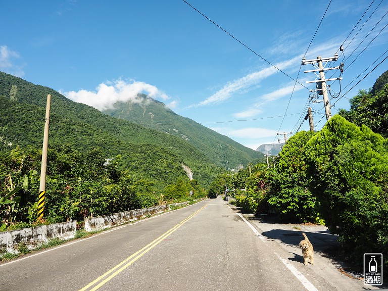 白楊步道