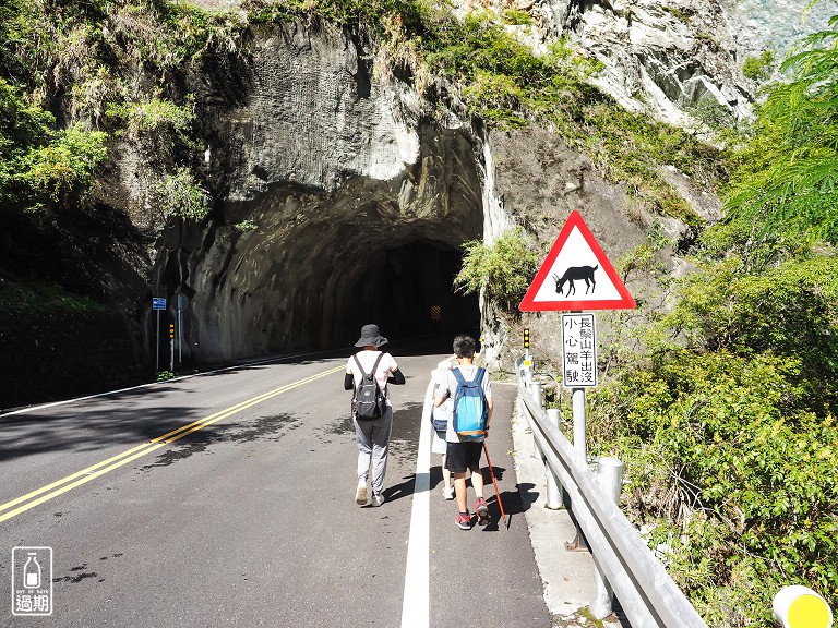 白楊步道