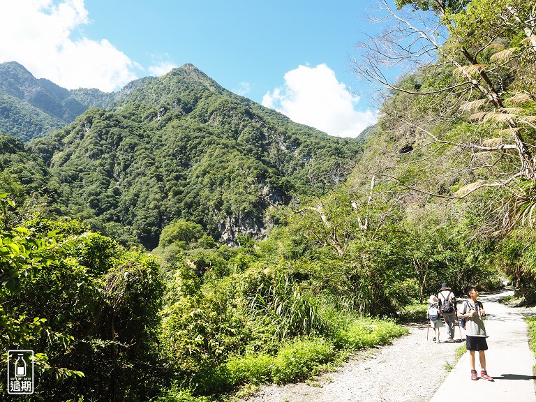 白楊步道