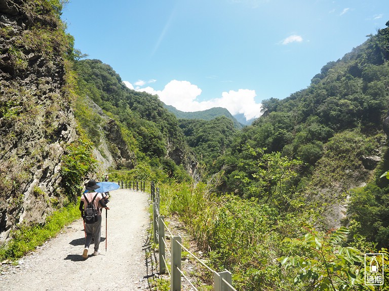 白楊步道