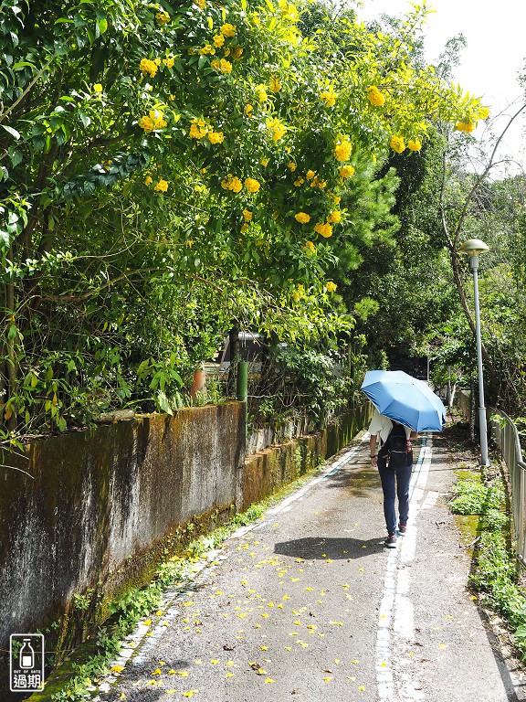 蟬說：鳳凰亭序