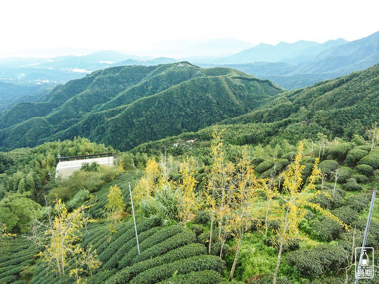 松安景觀廣場