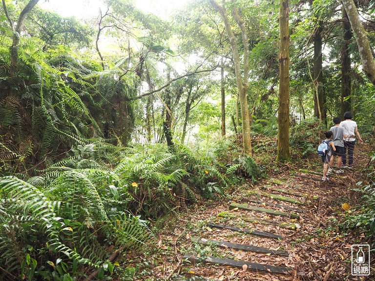 蟬說：鳳凰亭序