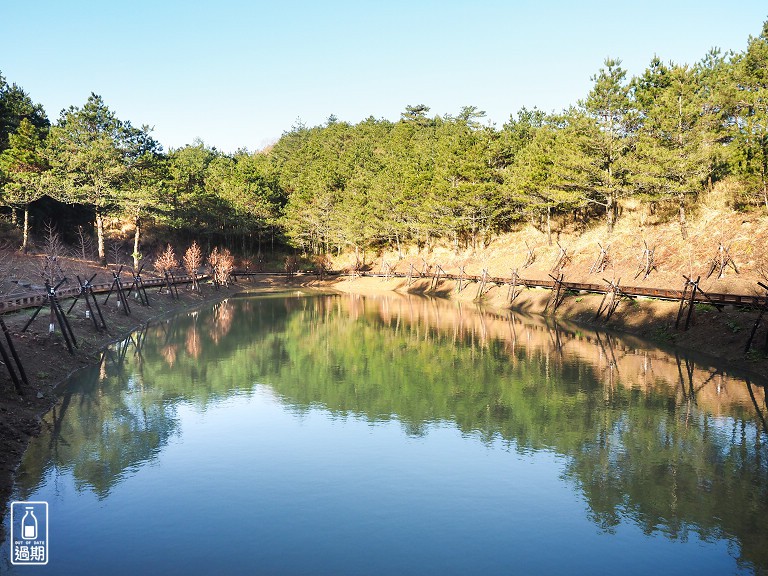 千櫻園+福壽山農場露營區