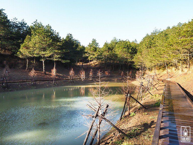 千櫻園+福壽山農場露營區