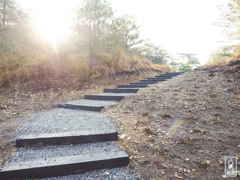 千櫻園+福壽山農場露營區